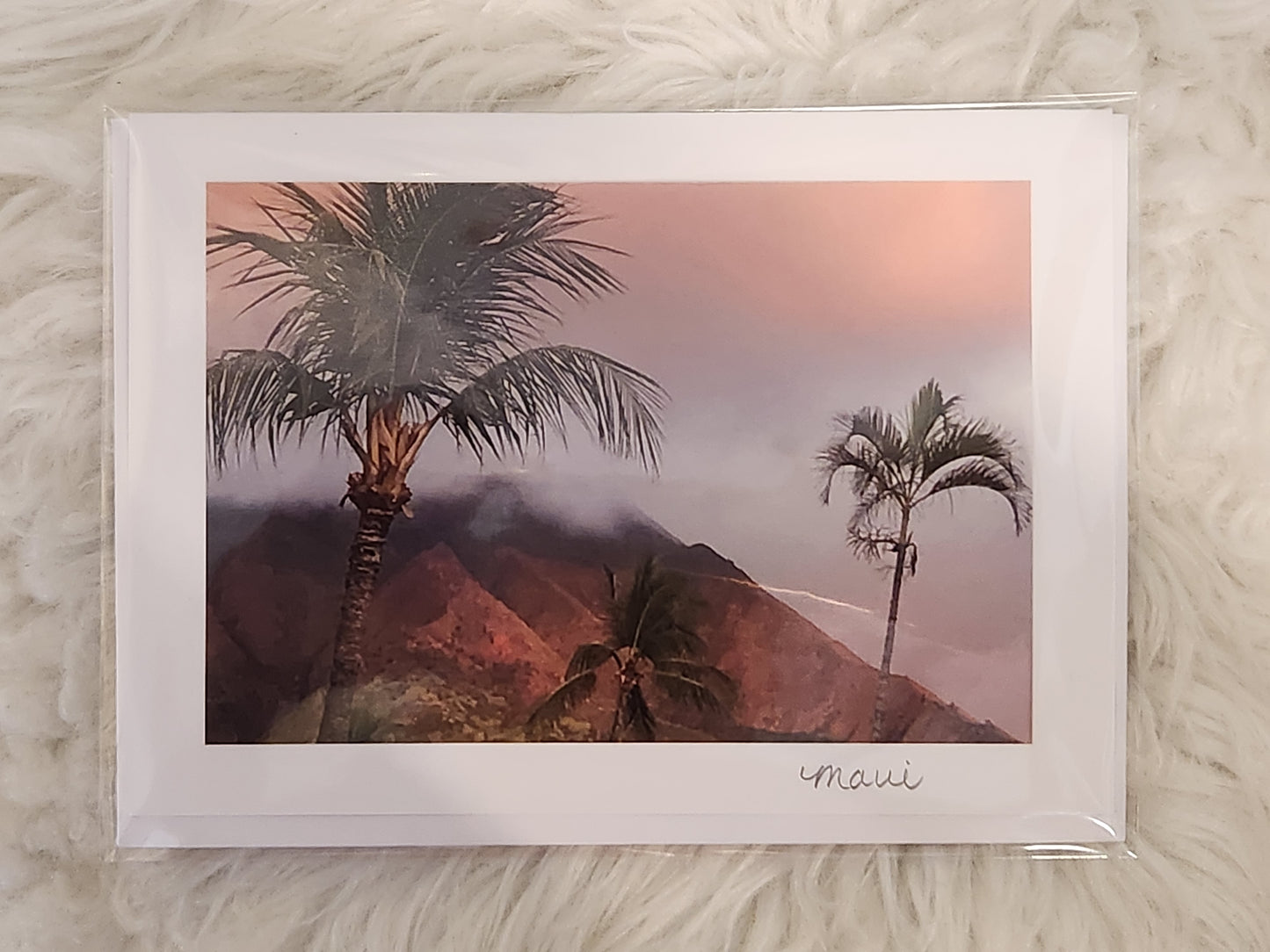 BARBSCARDS MAUI PALM TREES