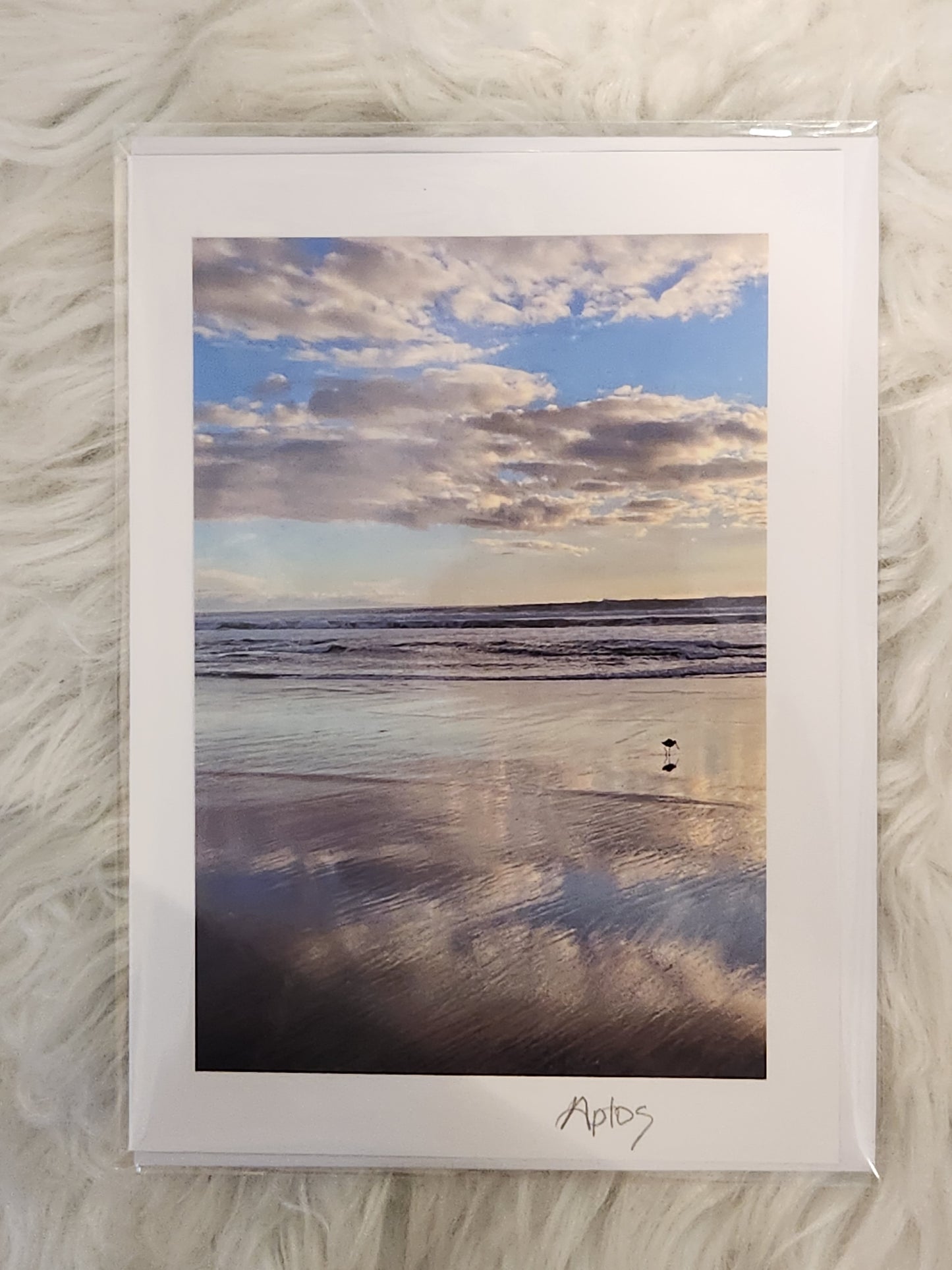 BARBSCARDS APTOS SUNRISE