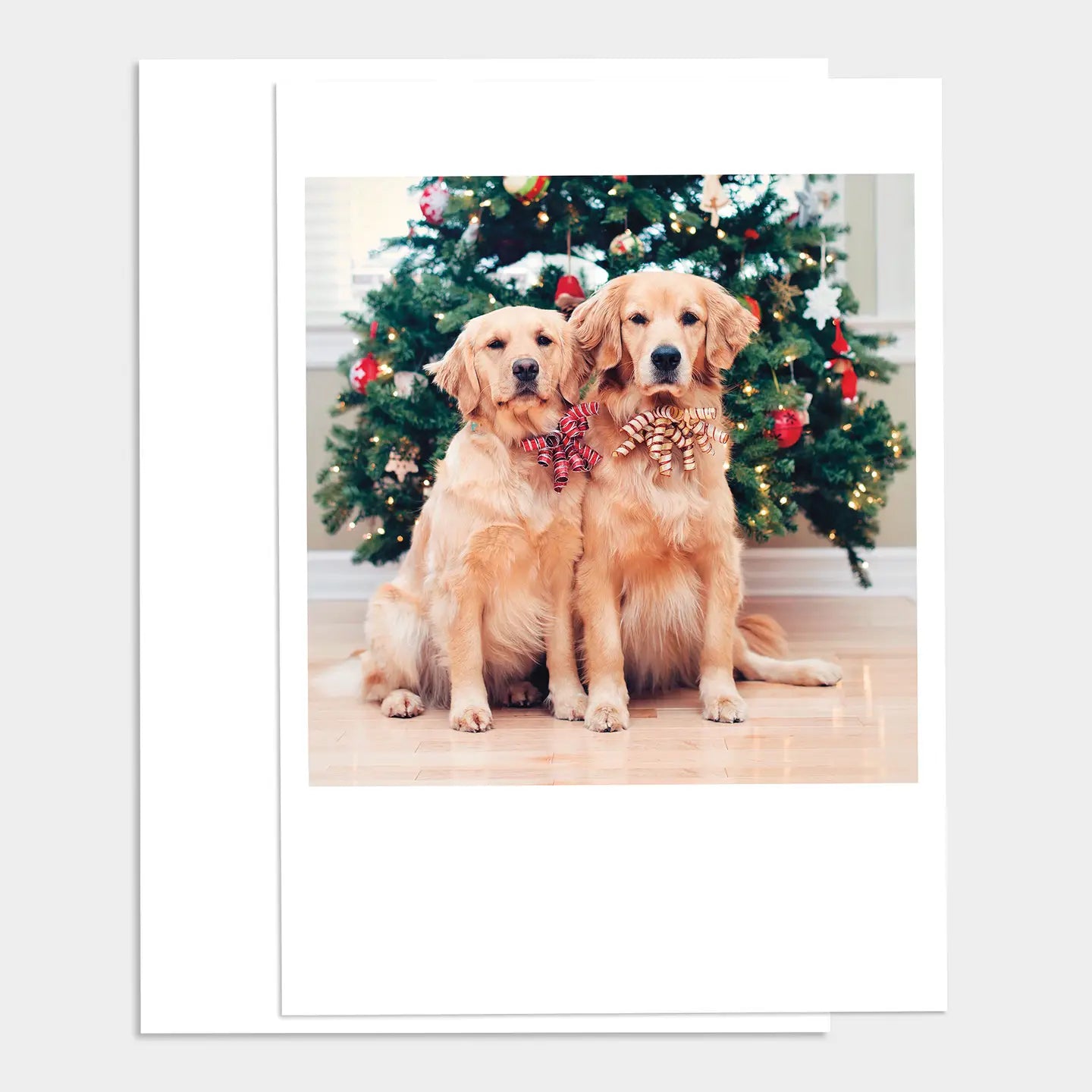 Christmas Pups Happy Holidays Greeting Card