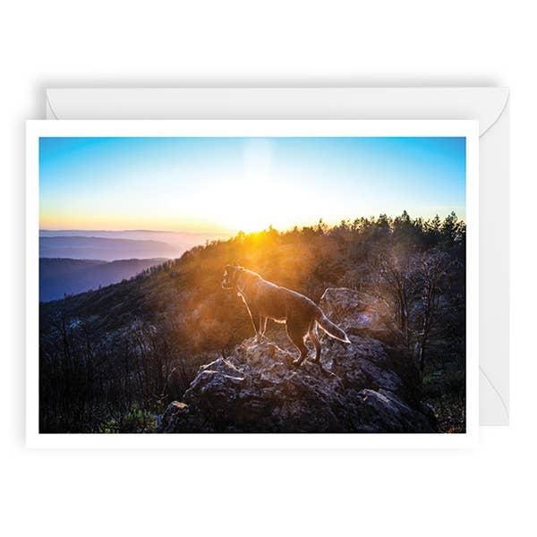 PALM PRESS GREETING CARDS FRANNIE AND THE MOUNTAIN