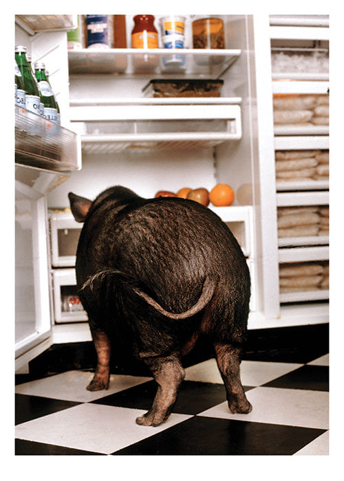 PALM PRESS GREETING CARDS PIG IN FRIDGE