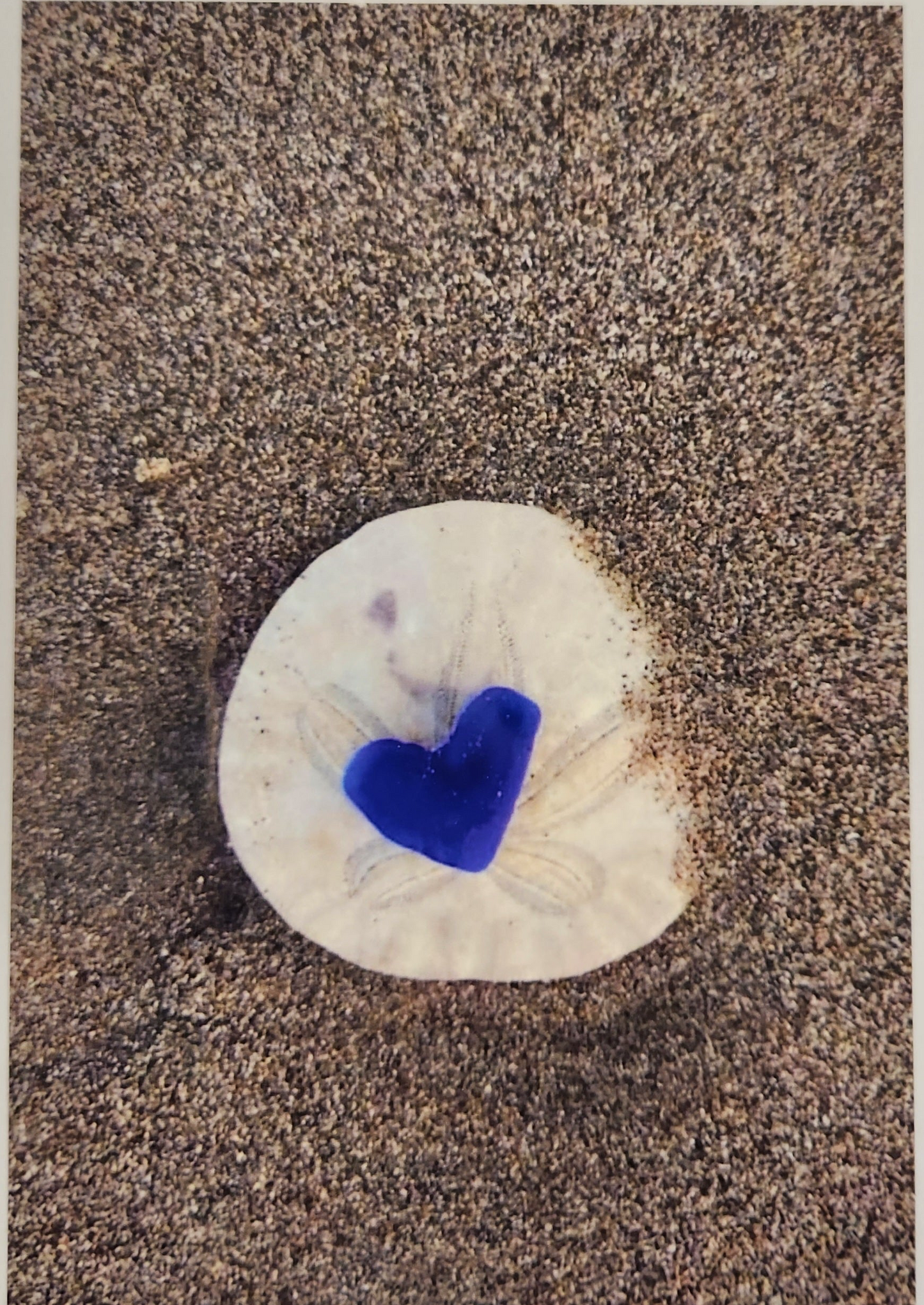 BARBSCARDS HAPPY VALENTINES DAY COLLECTION: SAND DOLLAR HEART