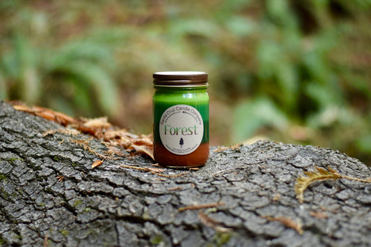 SANTA CRUZ CANDLE COMPANY LAYERED CANDLE FOREST