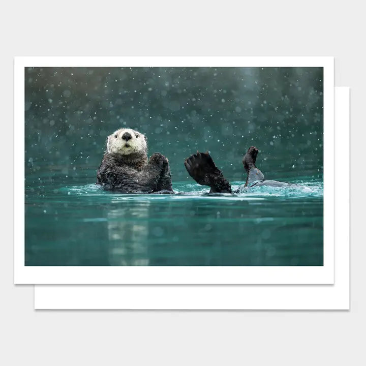 PALM PRESS GREETING CARDS SEA OTTER HAPPY HOLIDAY
