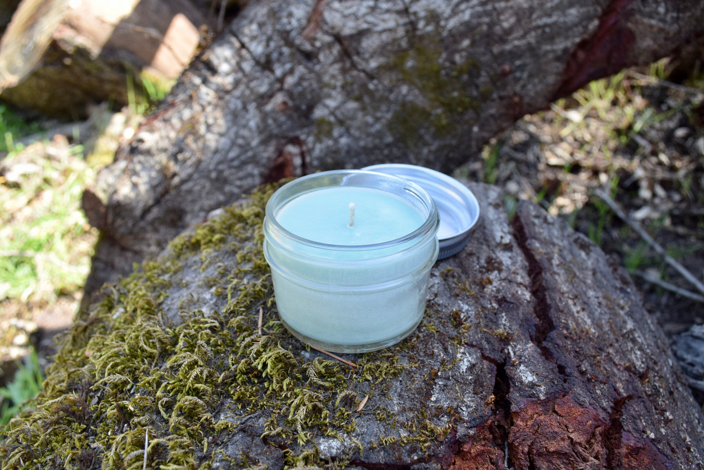 SANTA CRUZ CANDLE COMPANY NATURAL BRIDGES