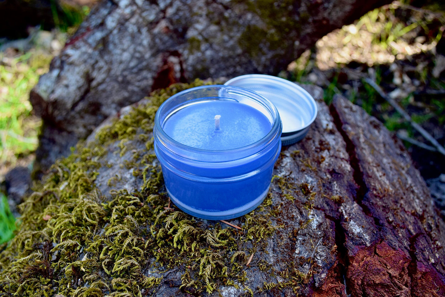 SANTA CRUZ CANDLE COMPANY CASTLE BEACH