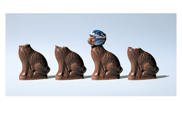 PALM PRESS GREETING CARDS BUNNIES & HELMET