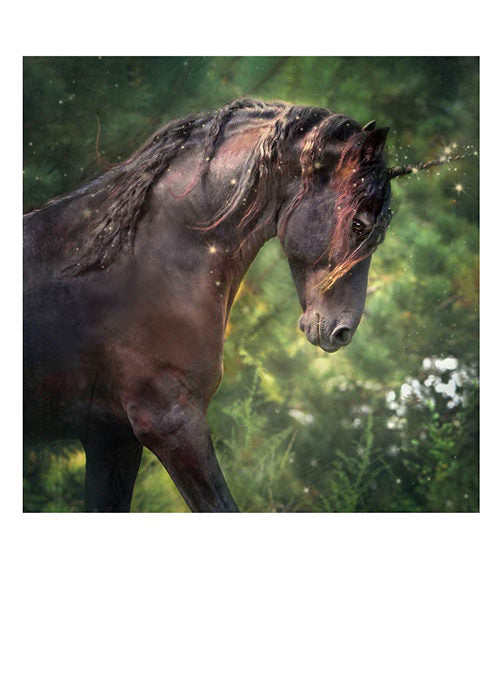 PALM PRESS GREETING CARDS UNICORN HORSE