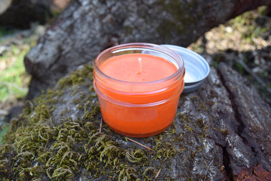 SANTA CRUZ CANDLE COMPANY WEST CLIFF SUNSET