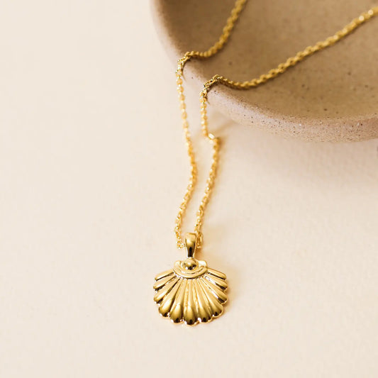 JAXKELLY Seashell Pendant - 18k Gold Necklace