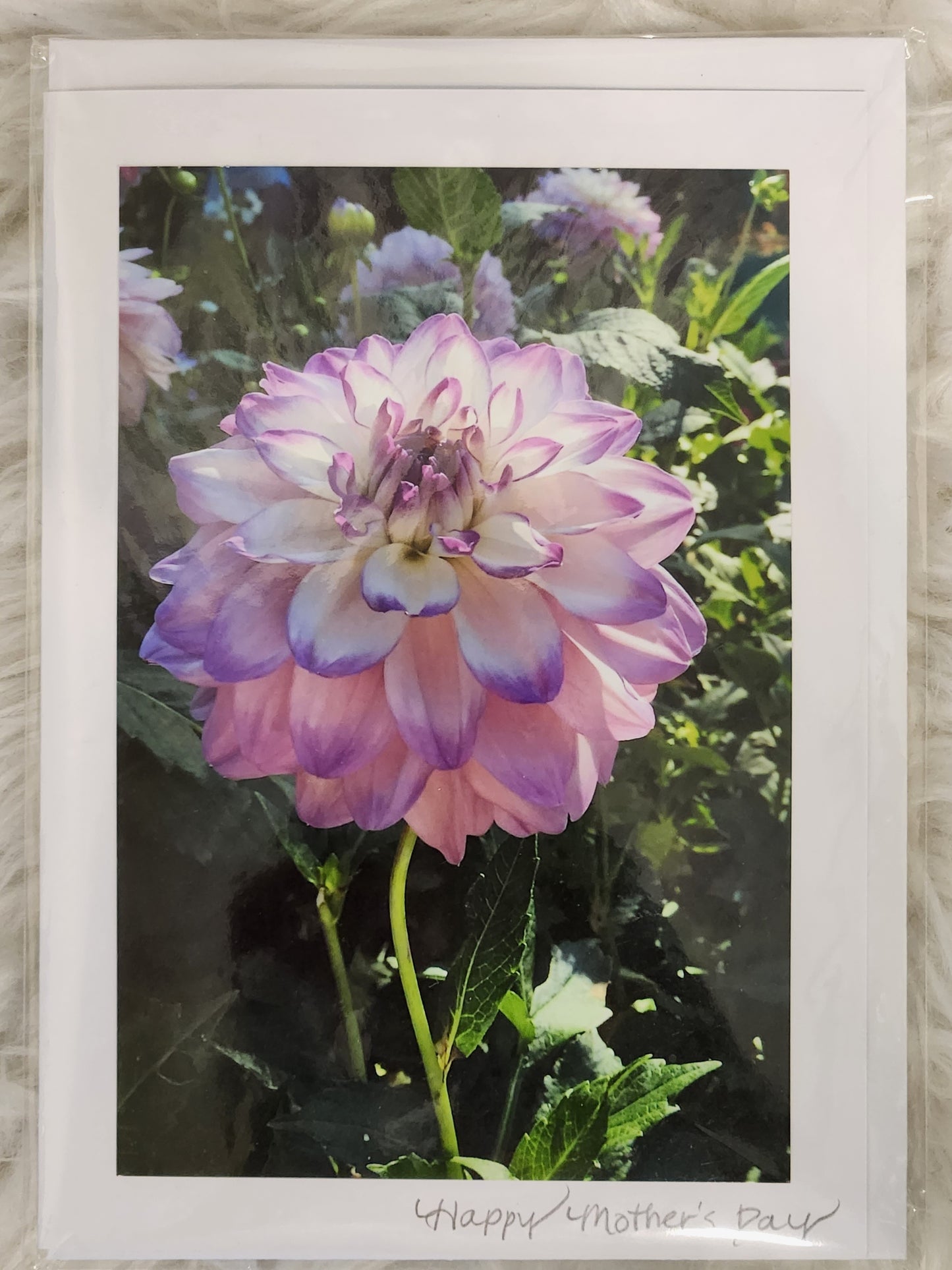 BARBSCARDS MOTHER'S DAY COLLECTION: OMBRE DAHLIA