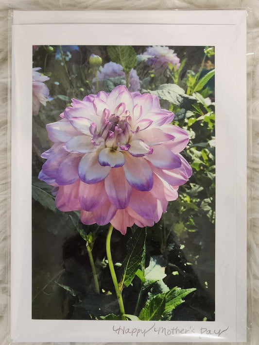 BARBSCARDS MOTHER'S DAY COLLECTION: OMBRE DAHLIA