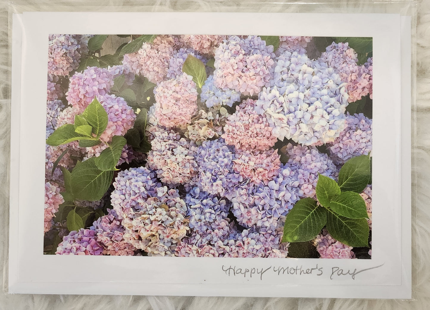 BARBSCARDS MOTHER'S DAY COLLECTION: HYDRANGEAS