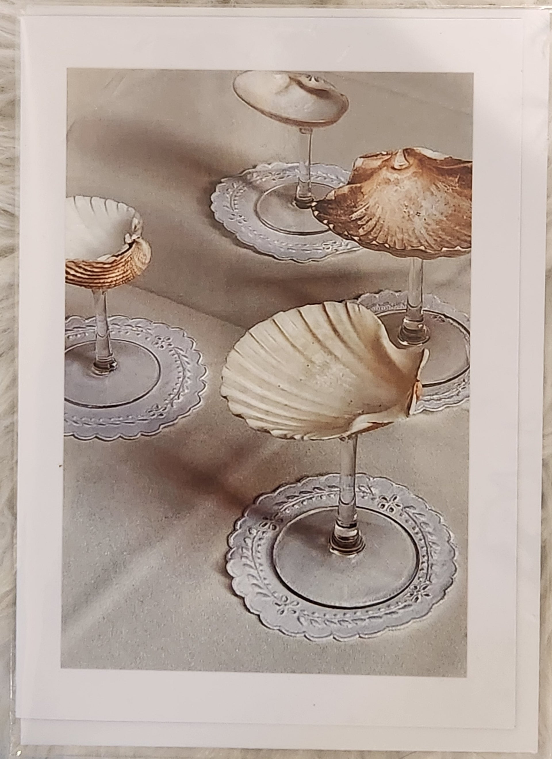 Sea Shell Glass off-white, Decorative Sea Shell Wine Glass, Tableware  Seashell Set, Unique Seashell Stemware for Sale Australia