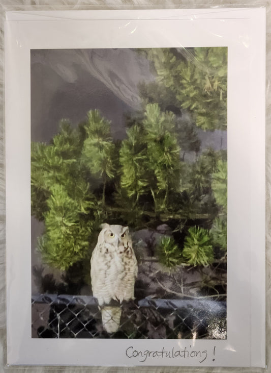 BARBSCARDS OWL