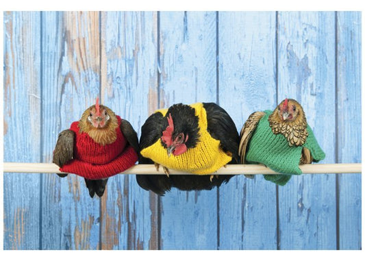PALM PRESS GREETING CARDS CHICKENS SWEATERS