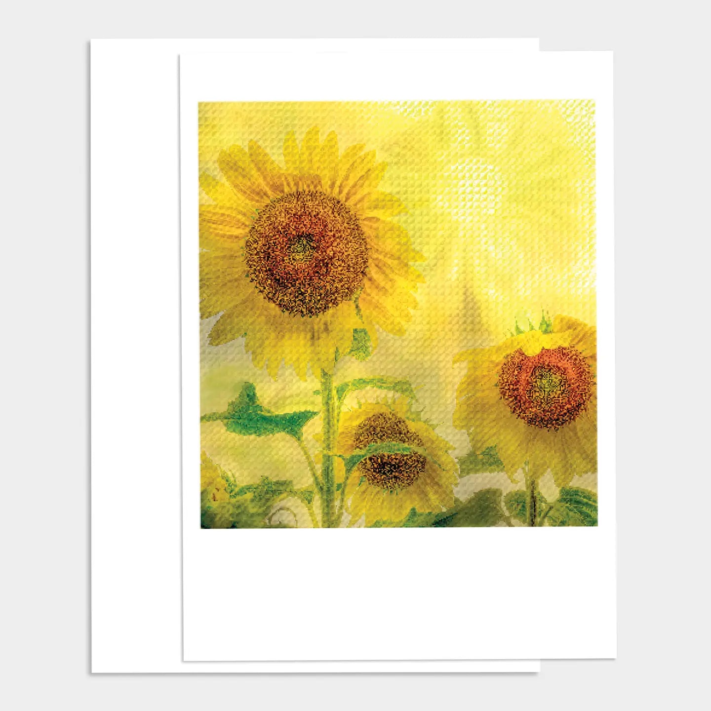 PALM PRESS GREETING CARDS SUNFUN FLOWERS THANK YOU CARD