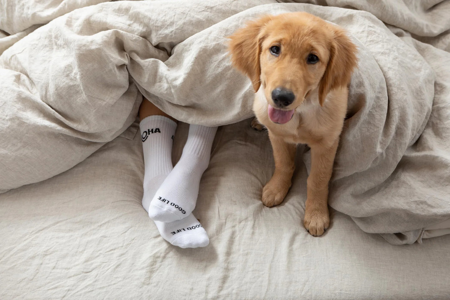 ALOHA COLLECTION CREW SOCKS WHITE