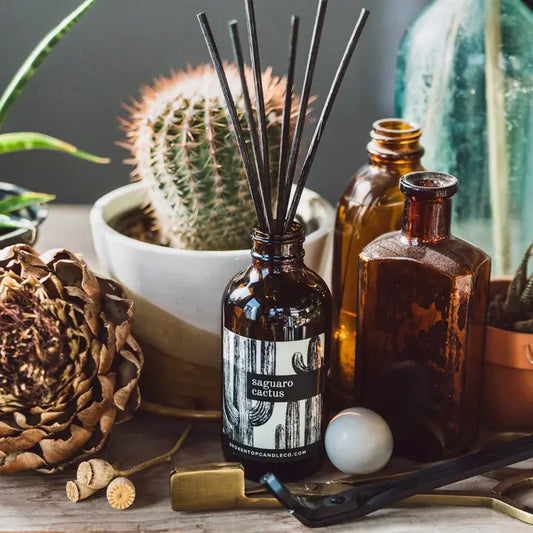 BROKEN TOP Saguaro 3.5 oz Reed Diffuser