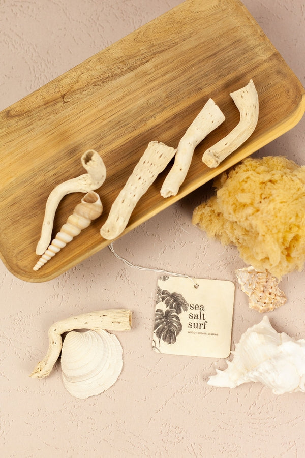 BROKEN TOP Sea Salt Surf Car Fresheners