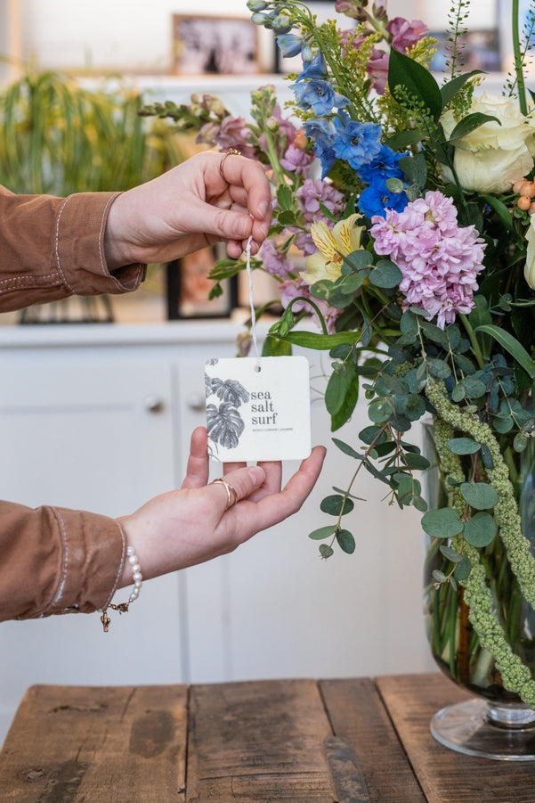 BROKEN TOP Sea Salt Surf Car Fresheners