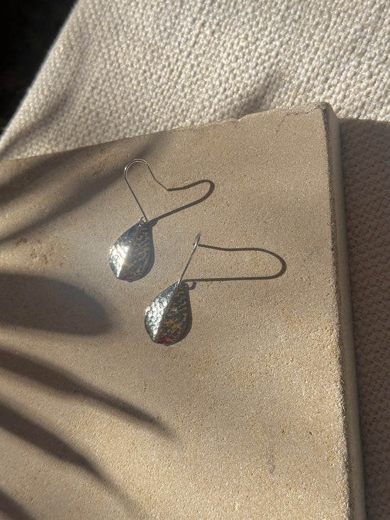 Desert Moon Design Silver Leaves Earrings