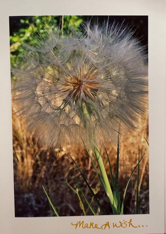 BARBSCARDS MAKE A WISH