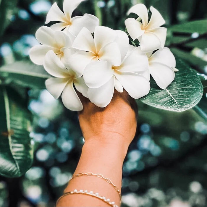In Situ Jasmine Bracelet 14k Gold Fill