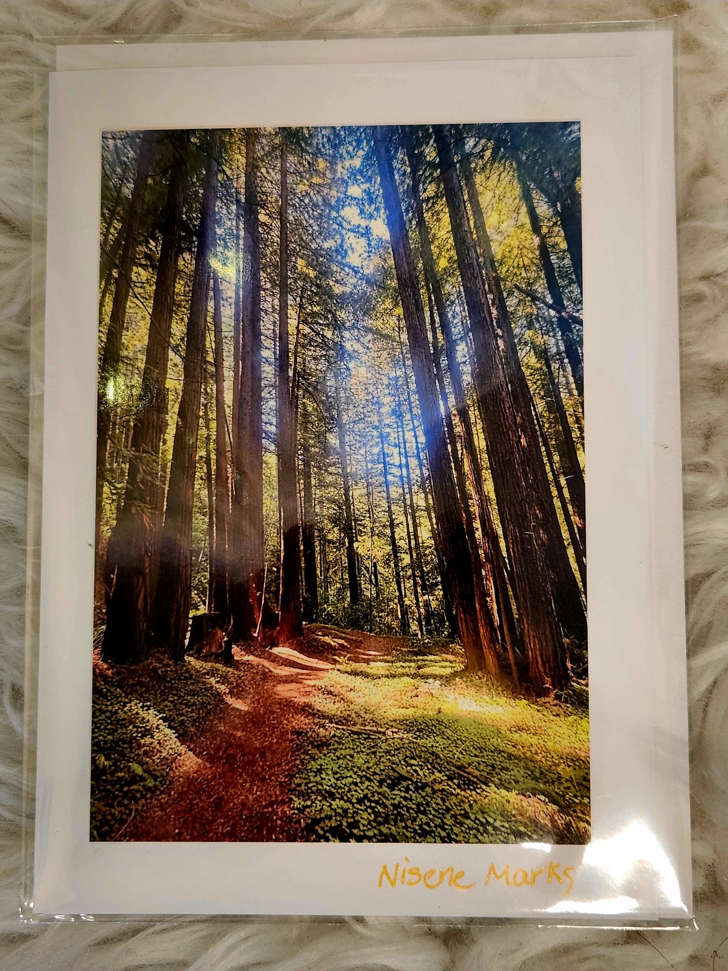 BARBSCARDS NISENE MARKS