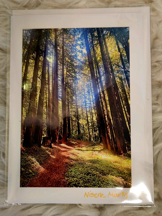 BARBSCARDS NISENE MARKS