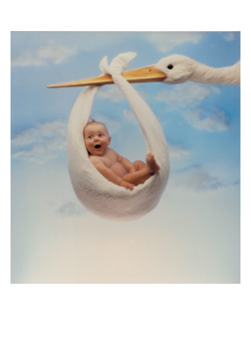 PALM PRESS GREETING CARDS STORK
