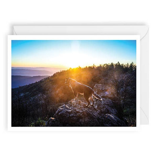 PALM PRESS GREETING CARDS FRANNIE AND THE MOUNTAIN