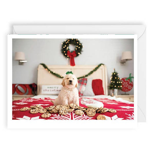 PALM PRESS GREETING CARDS HOLIDAY DOG COOKIES BED