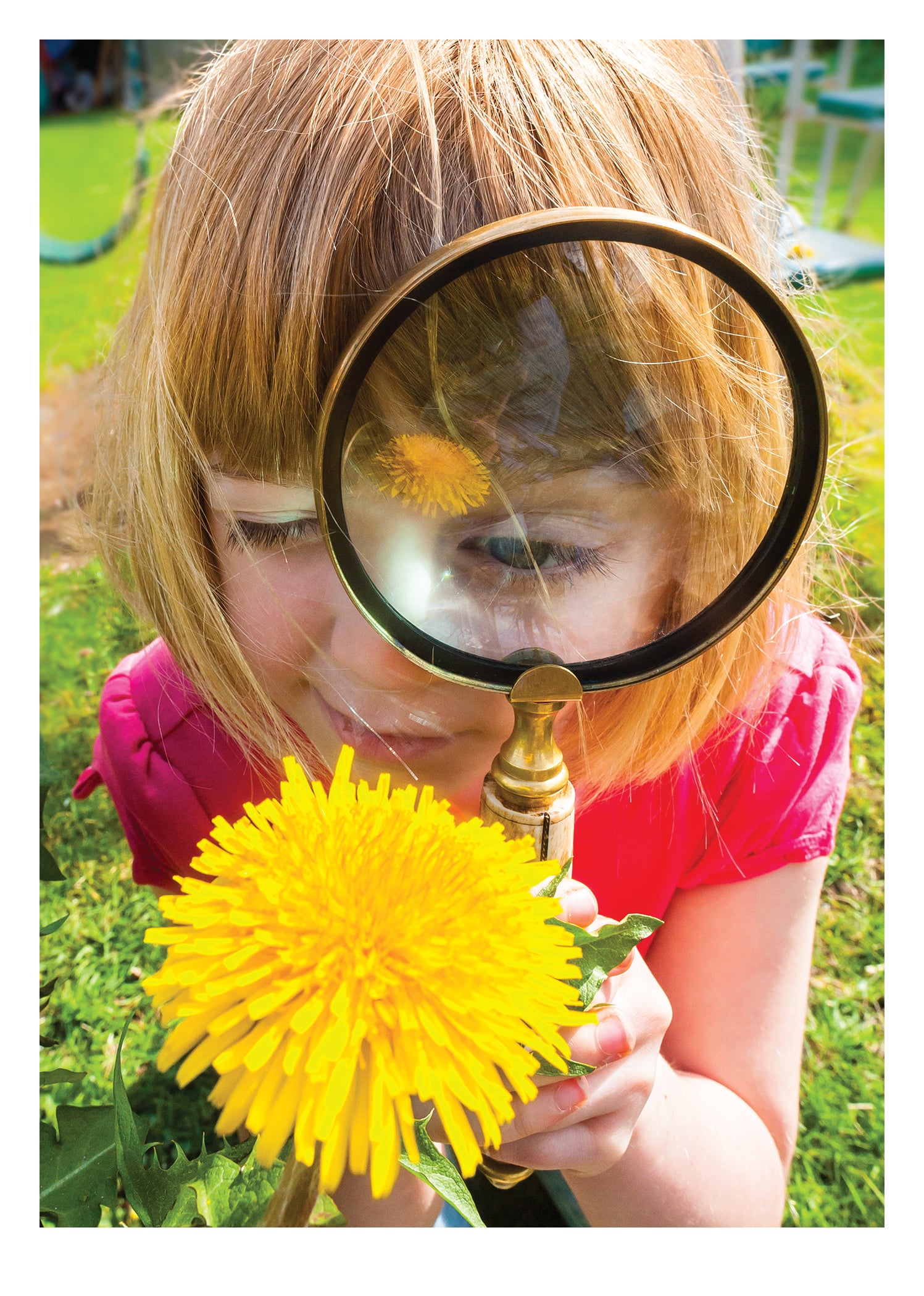 PALM PRESS GREETING CARDS MAGNIFYING GLASS
