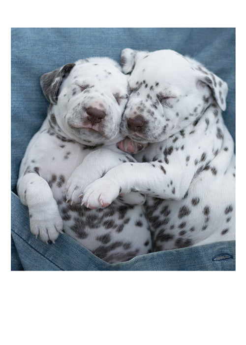 PALM PRESS GREETING CARDS MILK DRUNK