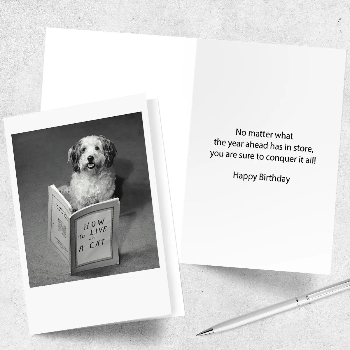 PALM PRESS GREETING CARDS THE CATS ROOMATE