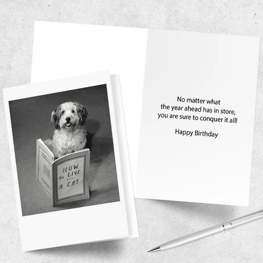 PALM PRESS GREETING CARDS THE CATS ROOMATE