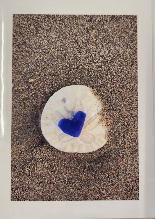 BARBSCARDS HAPPY VALENTINES DAY COLLECTION: SAND DOLLAR HEART