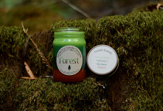 SANTA CRUZ CANDLE COMPANY LAYERED CANDLE FOREST