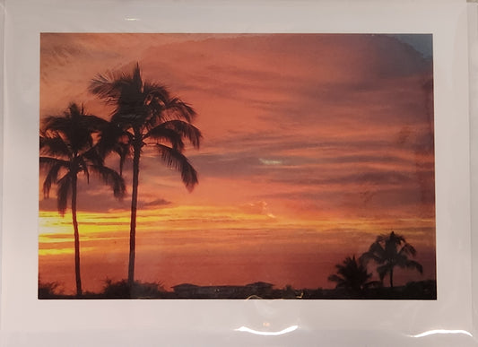 BARBSCARDS SUNSET PALMS