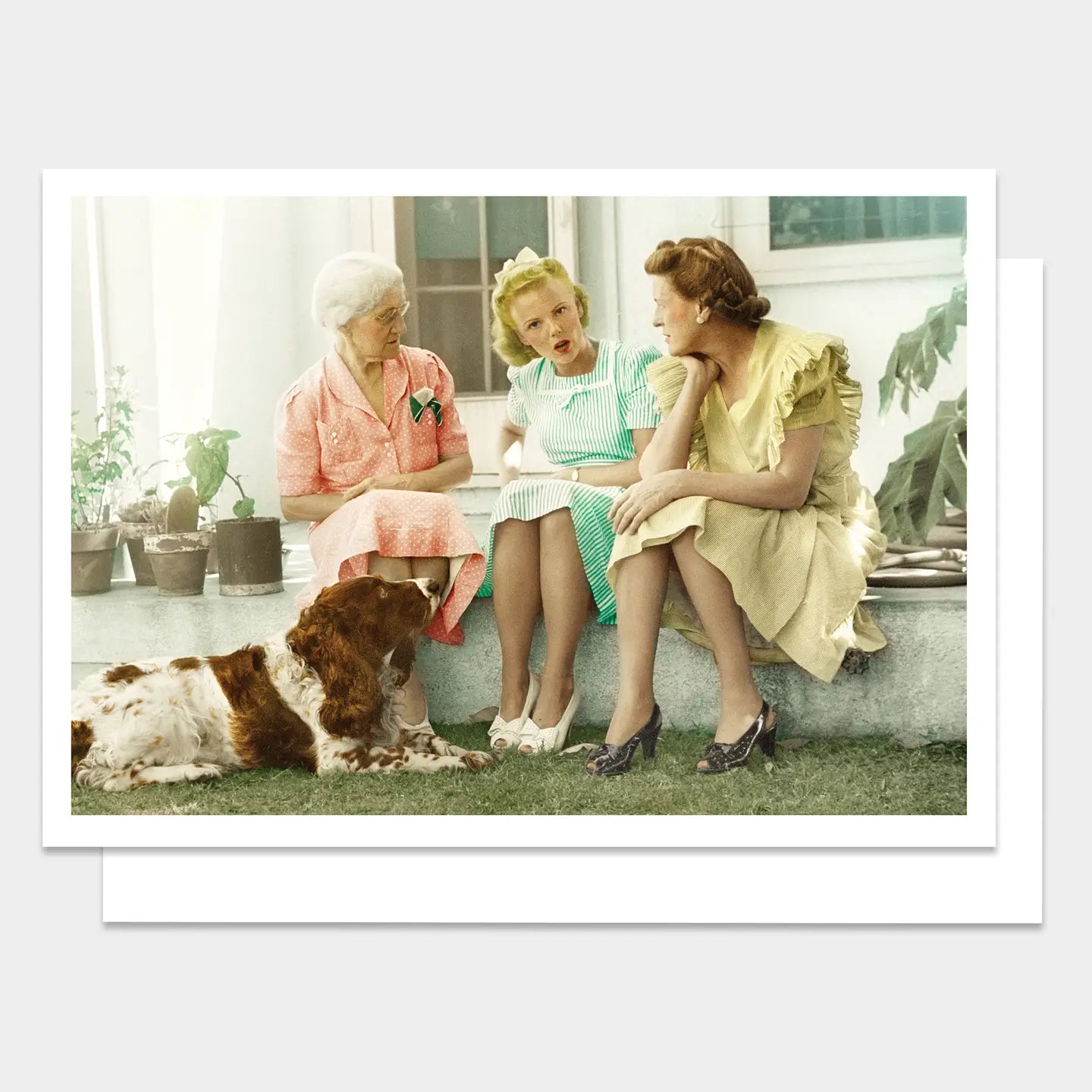 PALM PRESS GREETING CARDS THREE WOMEN FRIENDSHIP