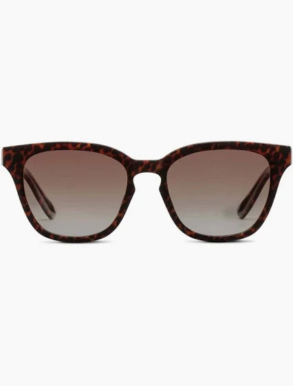 PEEPERS SUNGLASSES PISA POLARIZED LEOPARD TORTOISE