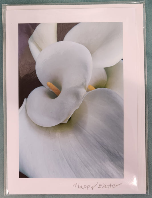 BARBSCARDS HAPPY EASTER COLLECTION: CALLA LILY