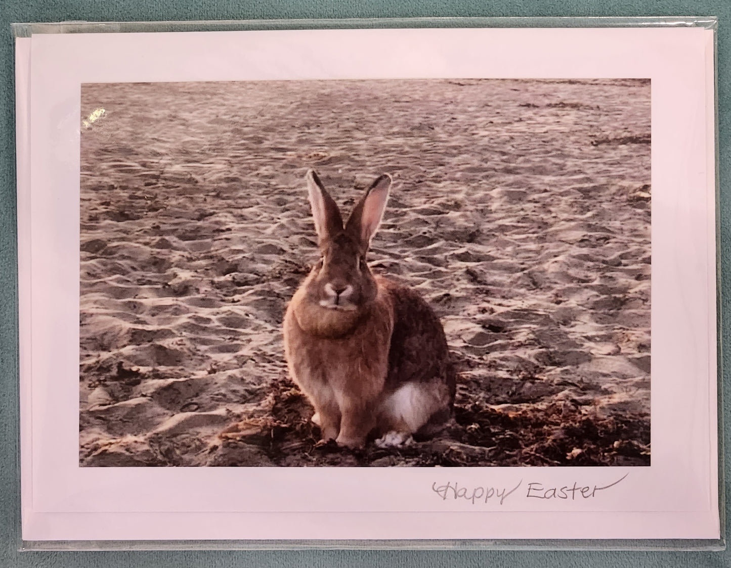 BARBSCARDS HAPPY EASTER COLLECTION: BEACH BUNNY