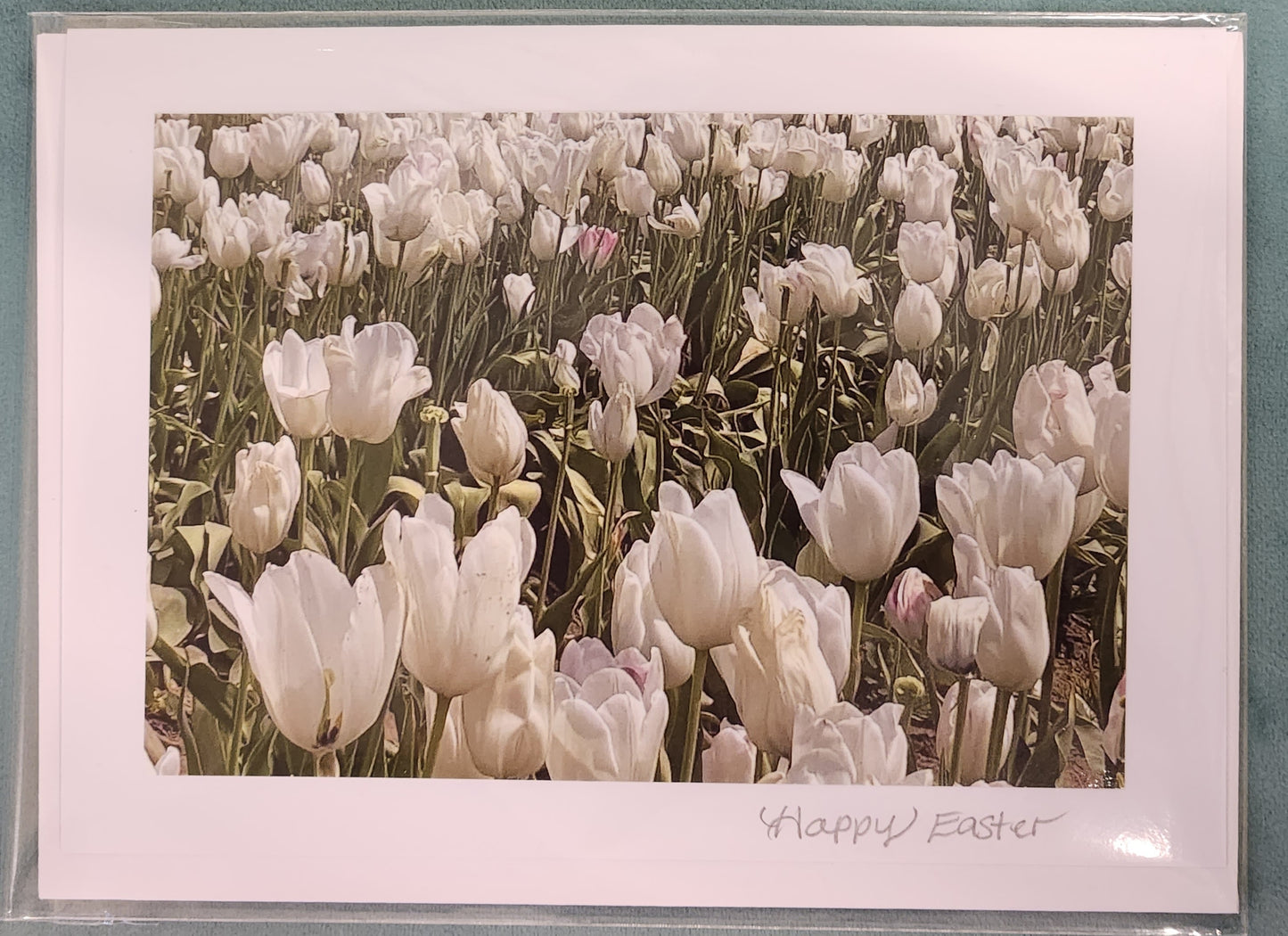 BARBSCARDS HAPPY EASTER COLLECTION: TULIP GARDEN