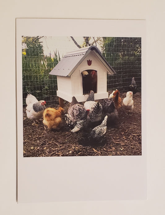 PALM PRESS GREETING CARDS CHICKEN HOUSE