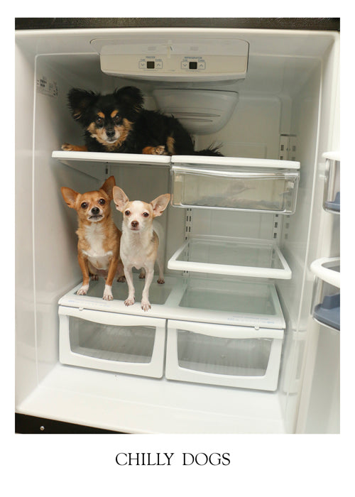 PALM PRESS GREETING CARDS DOGS IN FRIDGE