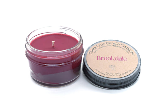 SANTA CRUZ CANDLE COMPANY BROOKDALE NEW!!!