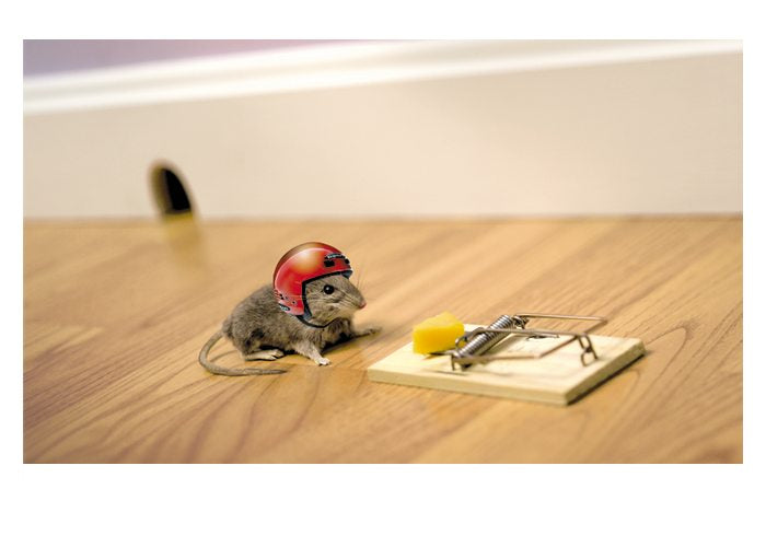 PALM PRESS GREETING CARDS MOUSE & HELMET