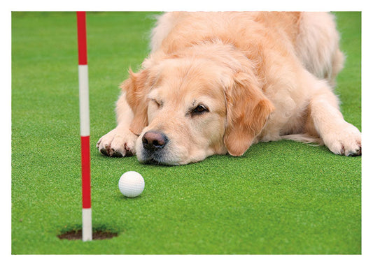 PALM PRESS GREETING CARDS DOG GOLFER